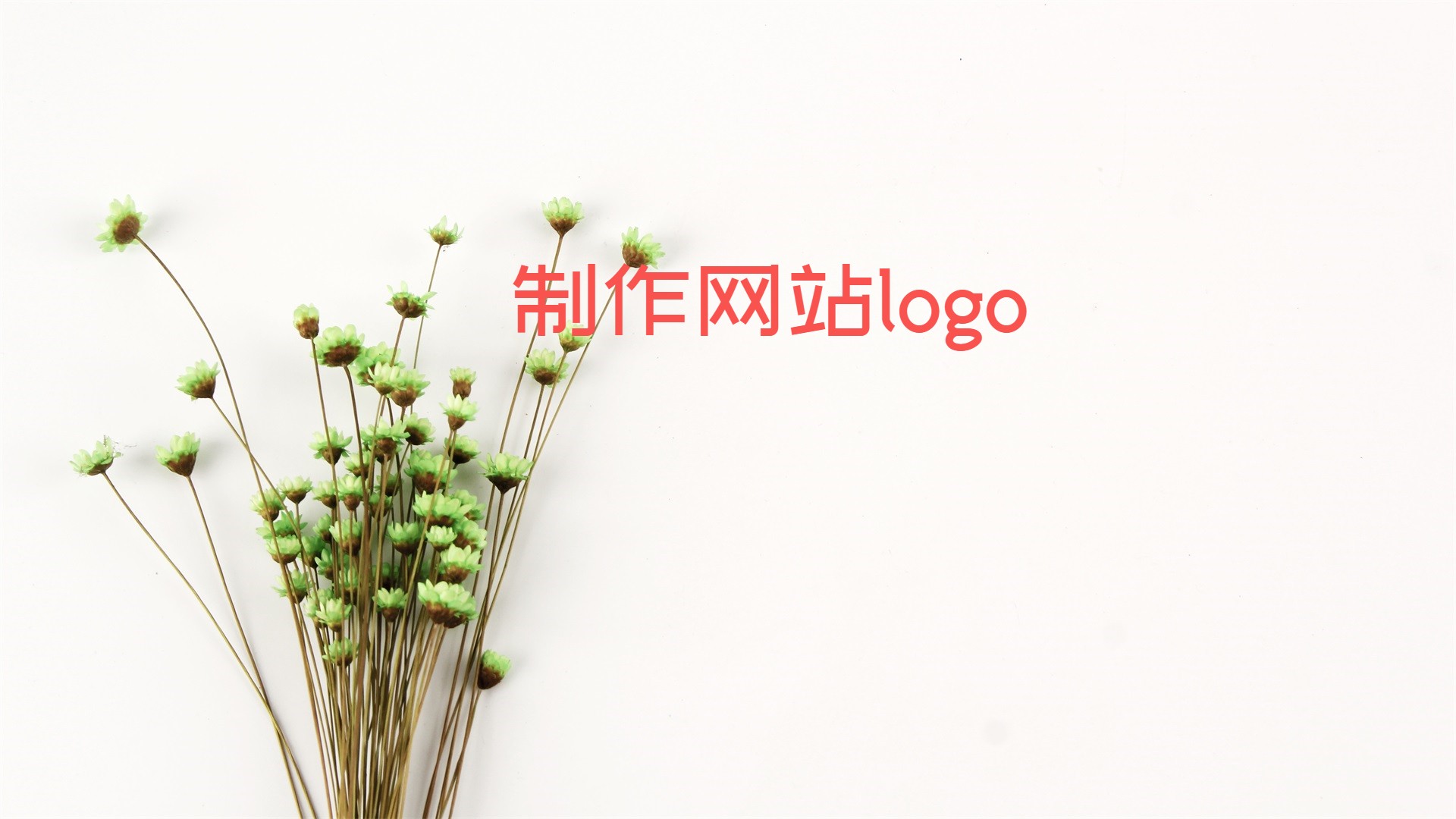 制作网站logo