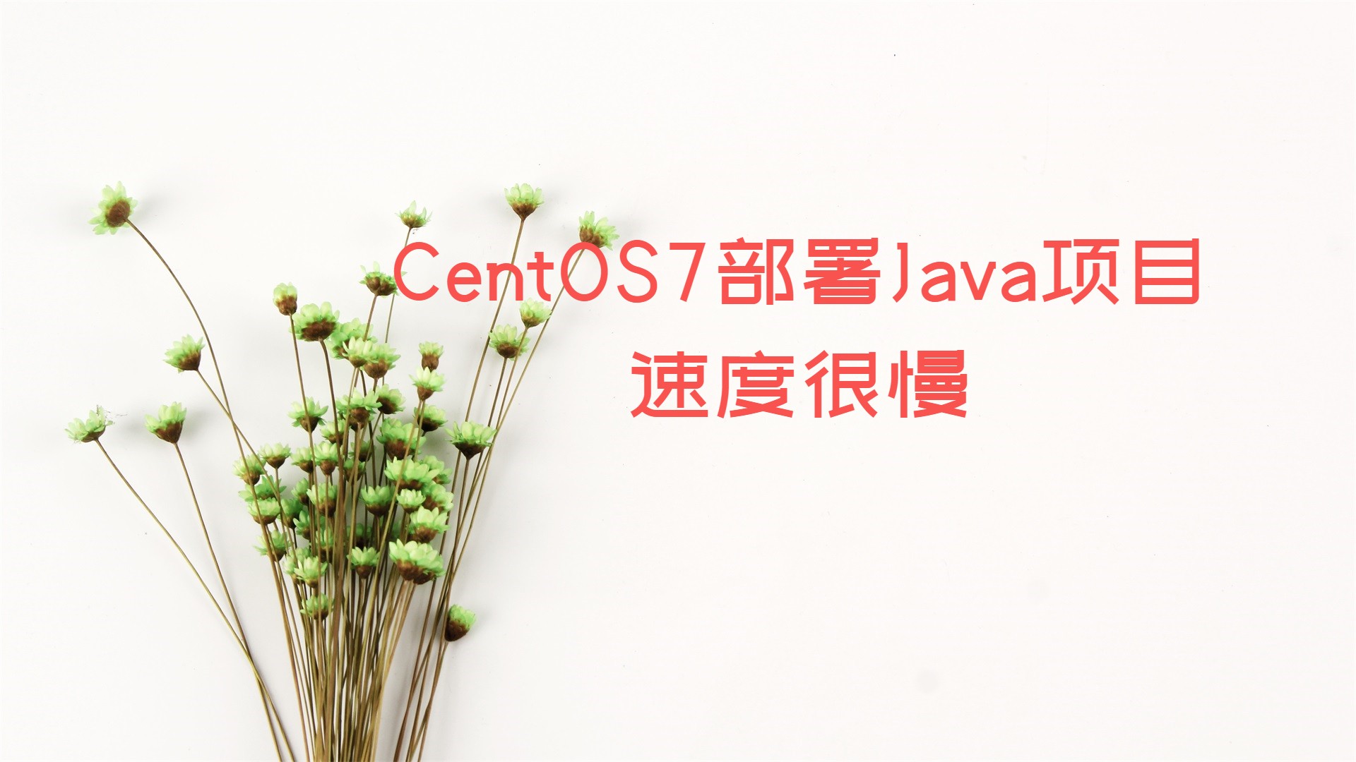 CentOS7部署Java项目速度很慢