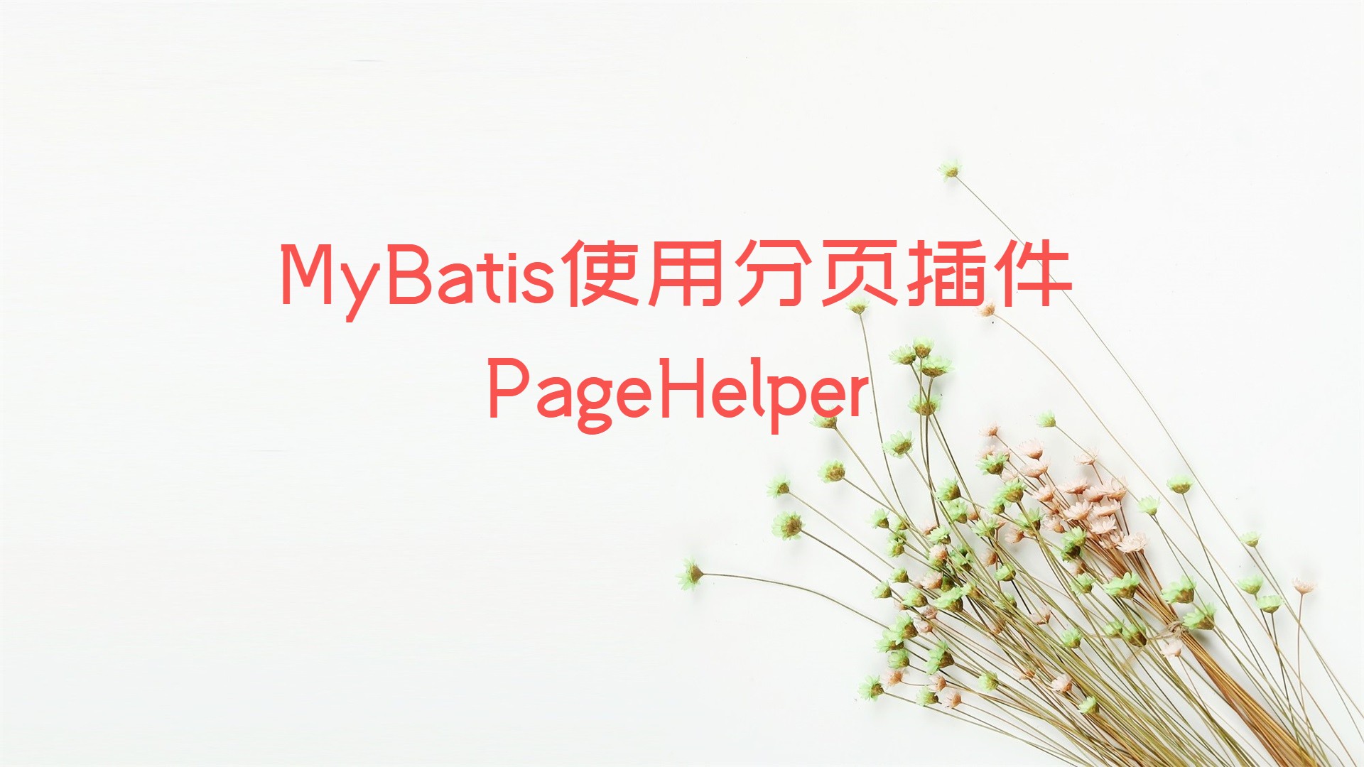 MyBatis使用分页插件PageHelper