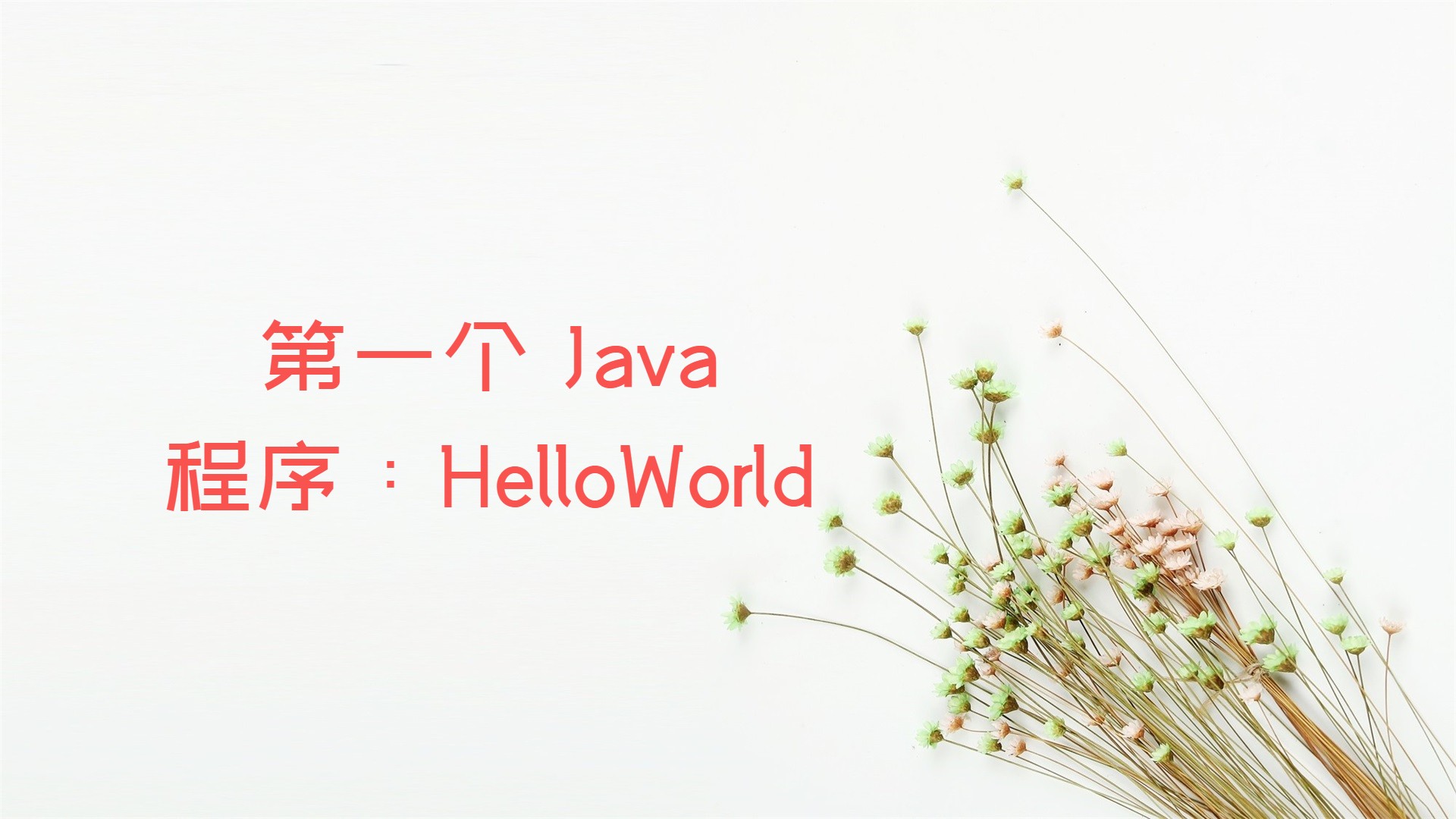第一个Java程序:HelloWorld