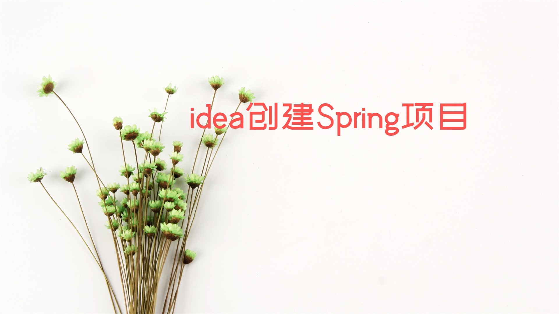 IntelliJ IDEA创建Spring项目
