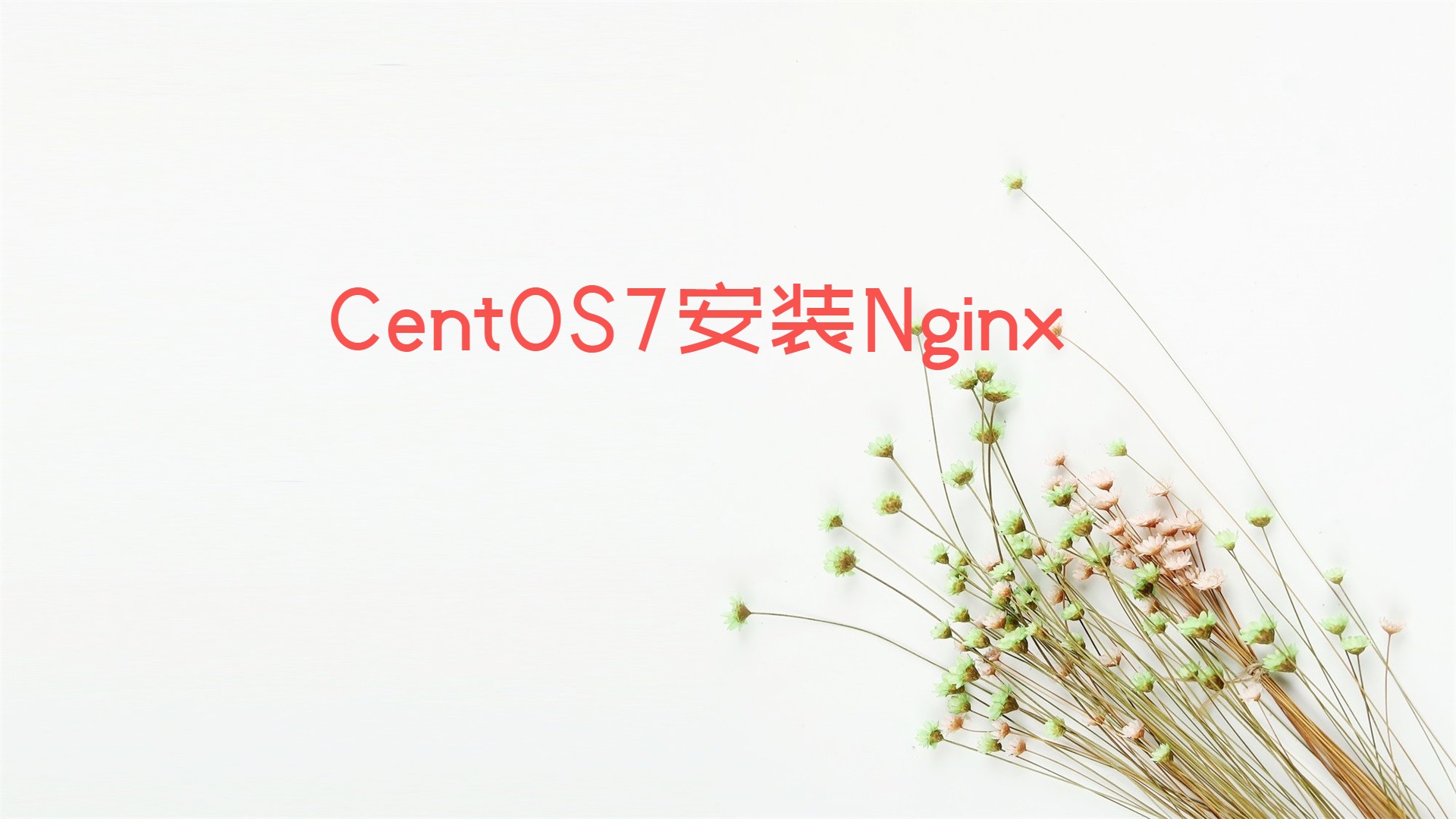 CentOS7安装Nginx