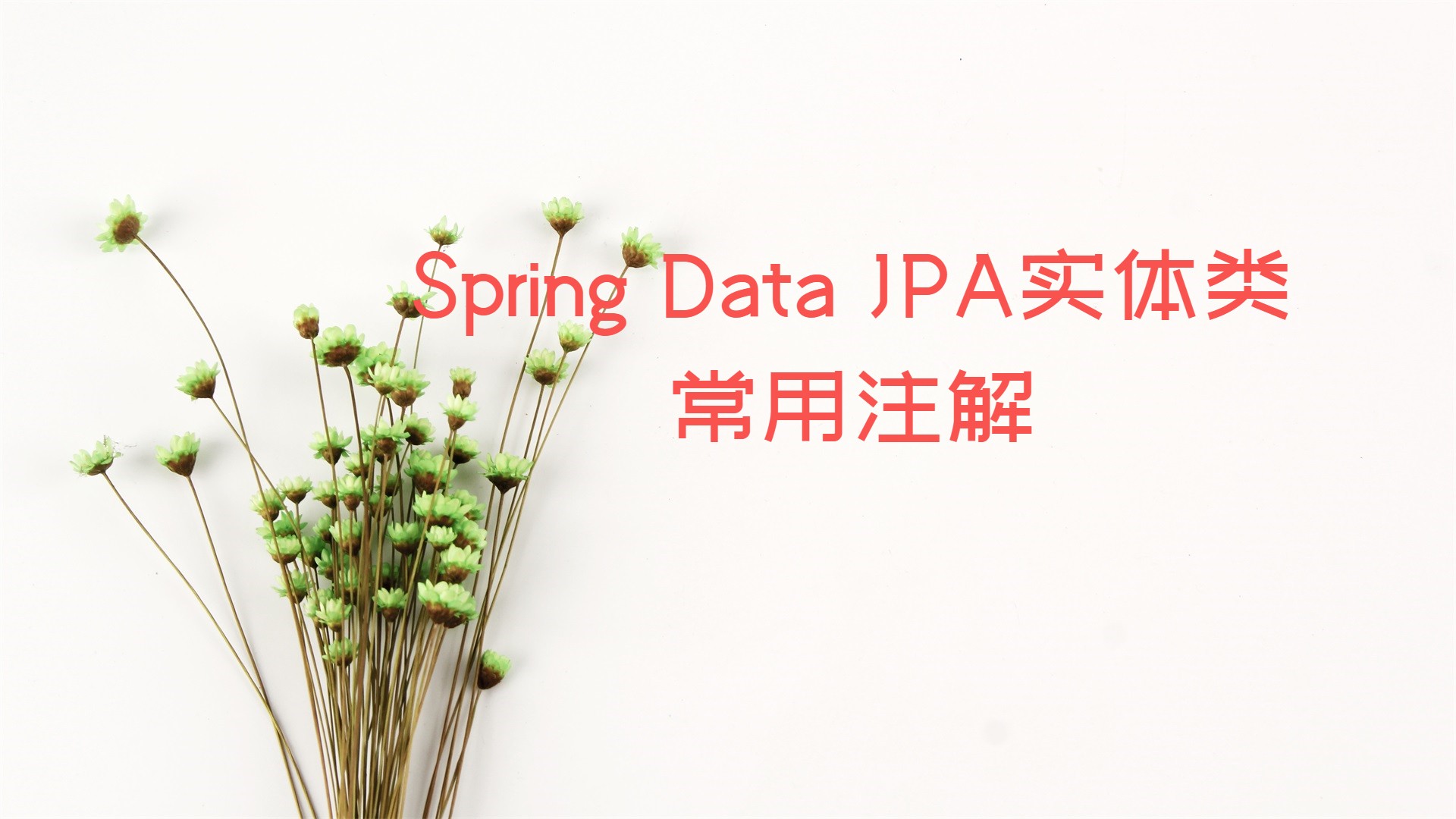 Spring Data JPA实体类常用注解