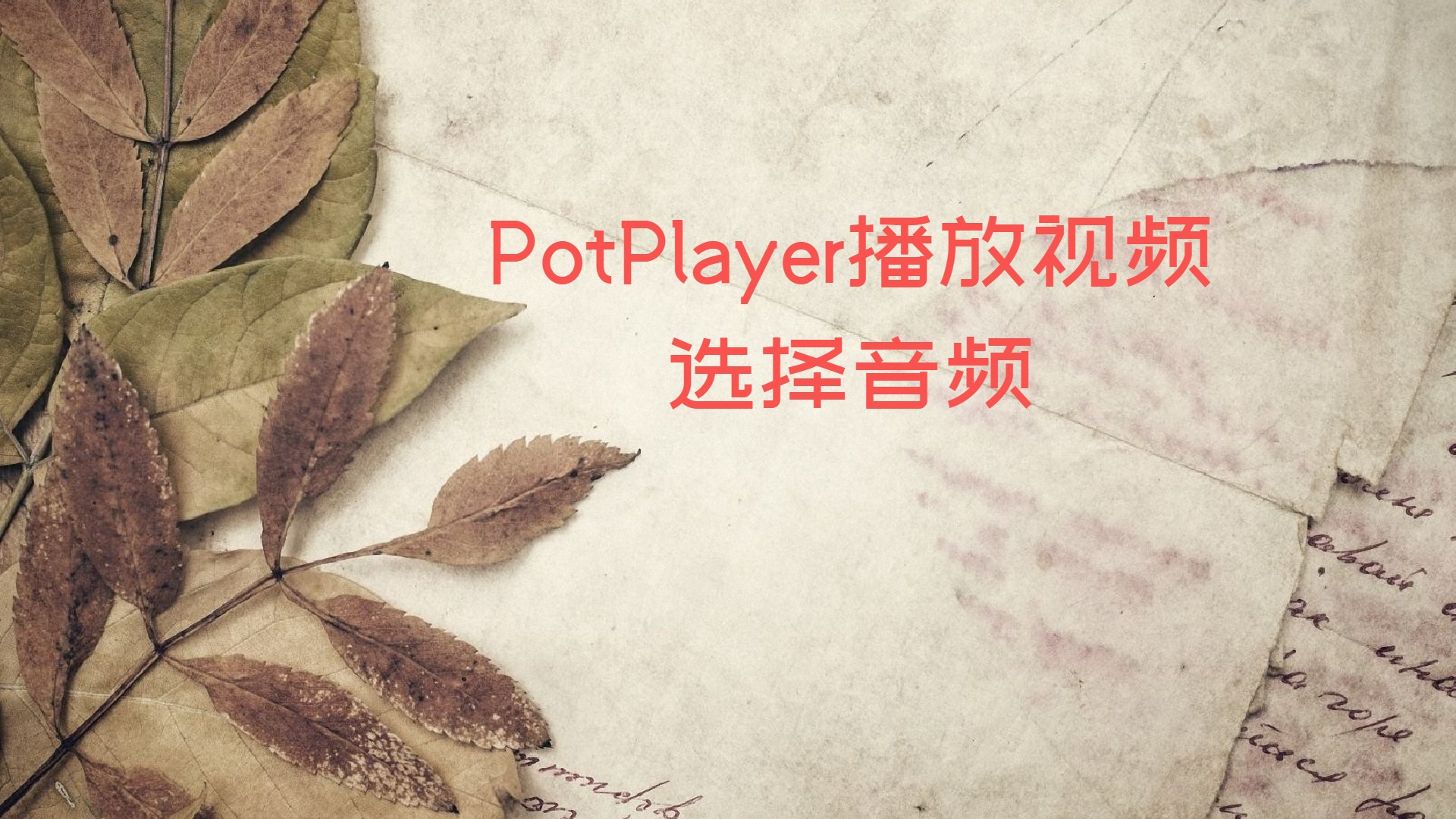 PotPlayer播放视频选择音频