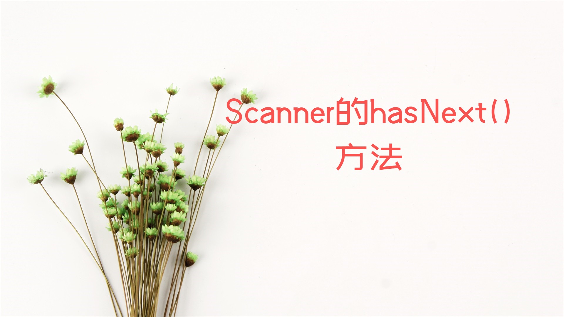 Scanner的hasNext()方法