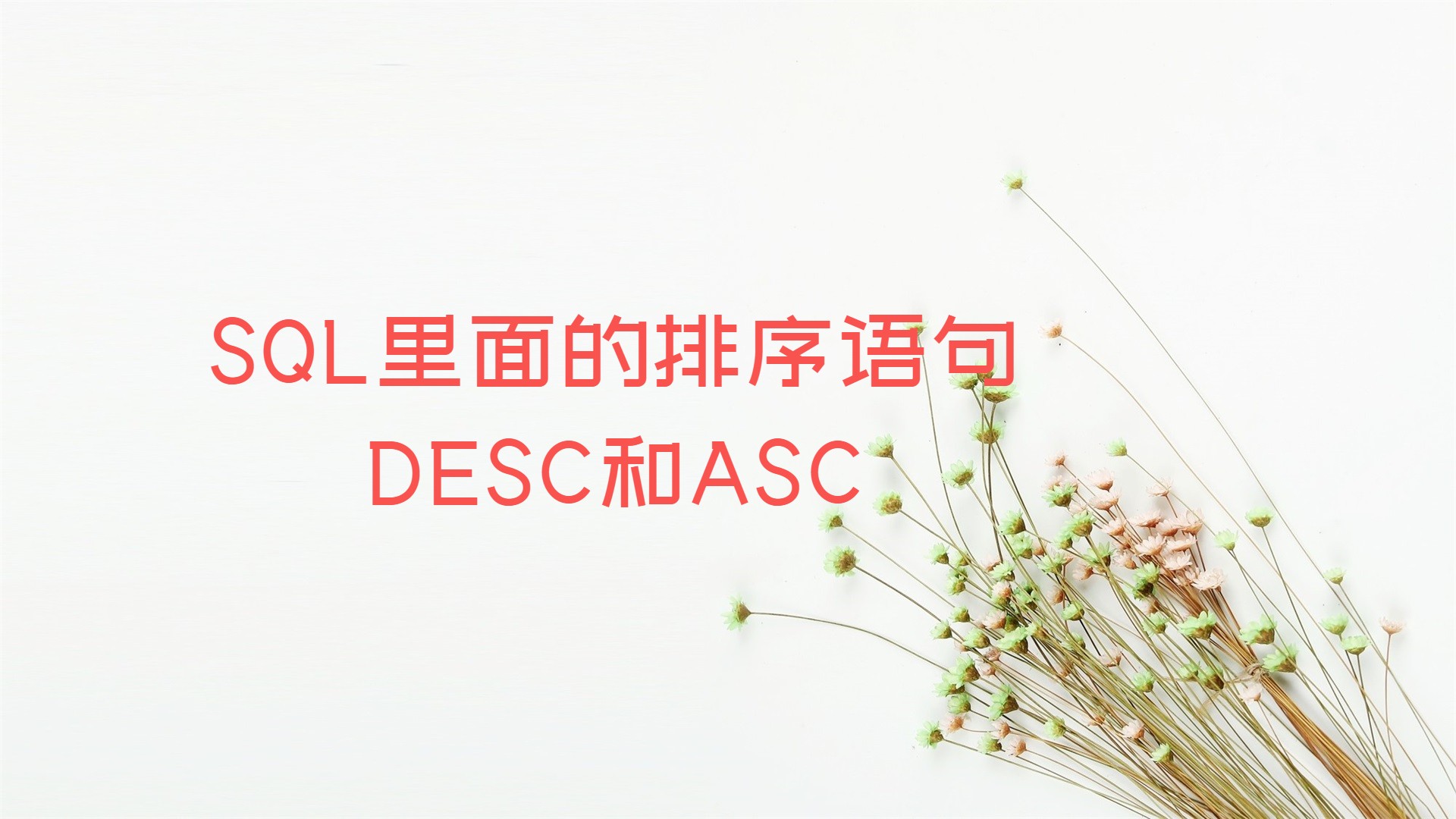 SQL里面的排序语句DESC和ASC